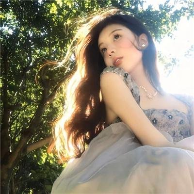 野良与皇女与流浪猫之心