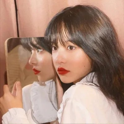 面包与玫瑰2023